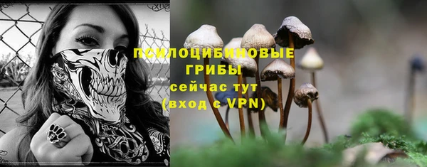 бошки Магадан