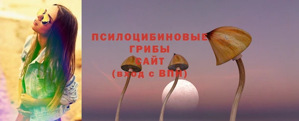 spice Магас