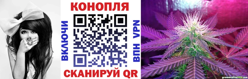 Каннабис гибрид  Фатеж 